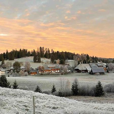Helle Gemuetliche Ferienwohnung In Schwarzwaldhof Ibach Kültér fotó