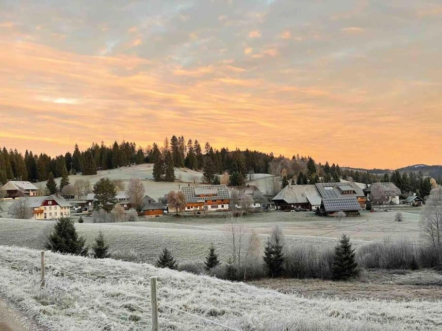 Helle Gemuetliche Ferienwohnung In Schwarzwaldhof Ibach Kültér fotó