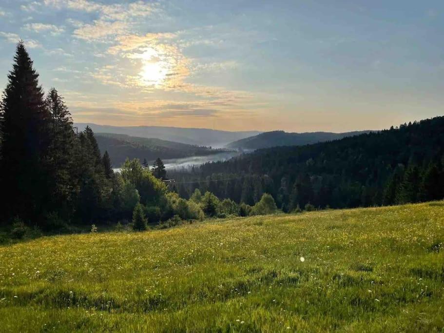 Helle Gemuetliche Ferienwohnung In Schwarzwaldhof Ibach Kültér fotó